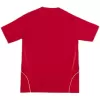 Retro 2008 Spain Home Soccer Jersey - Pro Jersey Shop
