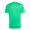 Manchester United Goalkeeper Soccer Jersey Replica 2025/26 - Pro Jersey Shop