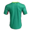 Senegal Away Soccer Match Jersey 2026 - Pro Jersey Shop