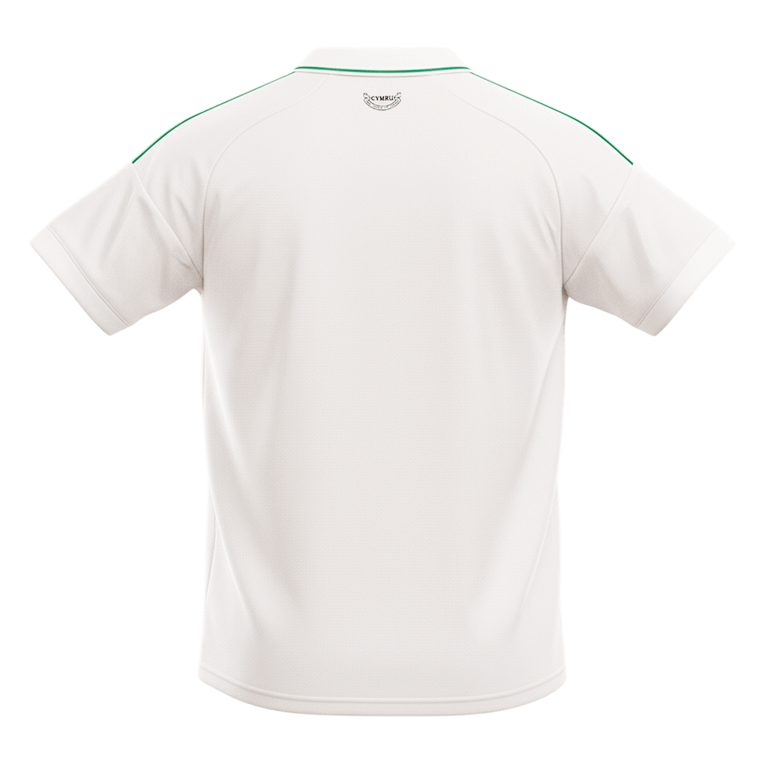 Wales Away Soccer Fan Jersey 2026 - Pro Jersey Shop