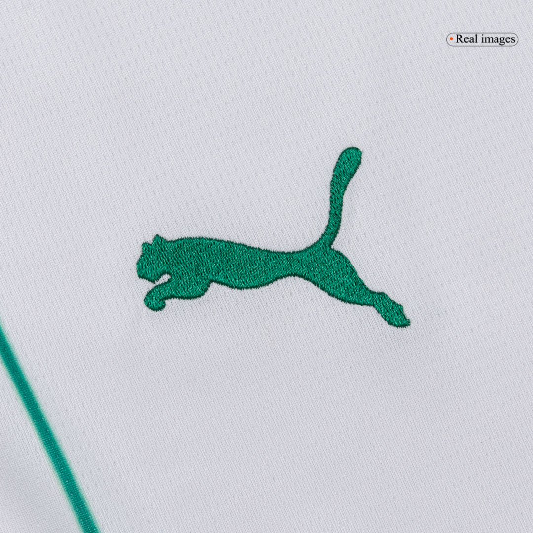 SE Palmeiras Away Soccer Fan Jersey 2026 - Pro Jersey Shop