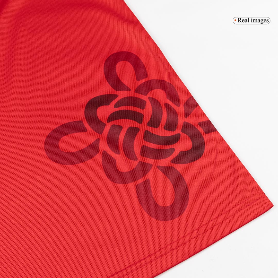 Manchester United Soccer Long Sleeves Fan Jersey 2025/26 - Pro Jersey Shop